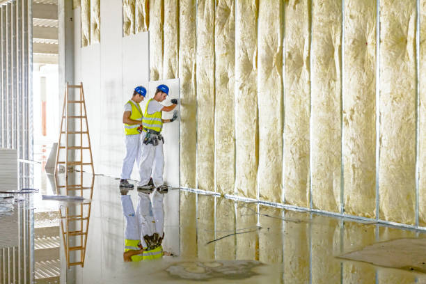 Best Commercial Insulation Services  in Buttonwillow, CA